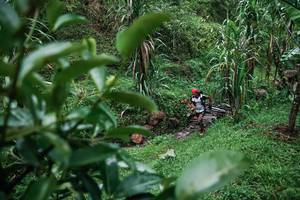 BIB: 
                            <button type="button" onclick="openModal(26200133)" class="btn btn-primary btn-sm float-right btn-popup" data-toggle="modal" data-target=".modal-high-quality">
                        <i class="fas fa-shopping-cart"></i> Add to Cart
                    </button>
                                            <button type="button" onclick="isThisMe(26200133, true)" class="btn btn-success btn-sm float-right btn-popup btn-isme hidden" data-toggle="tooltip" data-placement="bottom" title="นี่คือรูปของคุณใช่ไหม คลิกที่นี่เพื่อเอาเข้าอัลบั้ม">
                        <i class="fas fa-plus"></i> Add to album
                    </button>
                    <button type="button" onclick="isThisMe(26200133, false)" class="btn btn-warning btn-sm float-right btn-popup btn-isnotme hidden">
                        <i class="fas fa-ban"></i> Remove from album
                    </button>